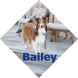 baileygraphic.jpg